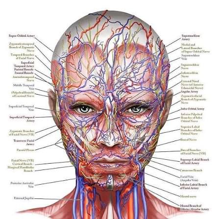 Aesthetic training course session