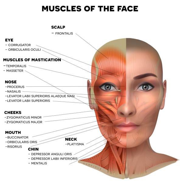 Aesthetic training course session